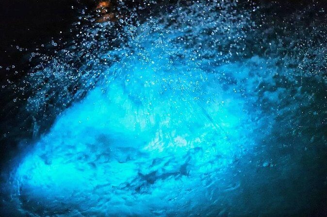 Night Excursion Experience at Luminous Lagoon - FAQ