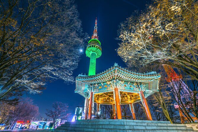 Night Flexible Private Guided Tour in Seoul(Optional Layover) - Who Should Consider This Tour?