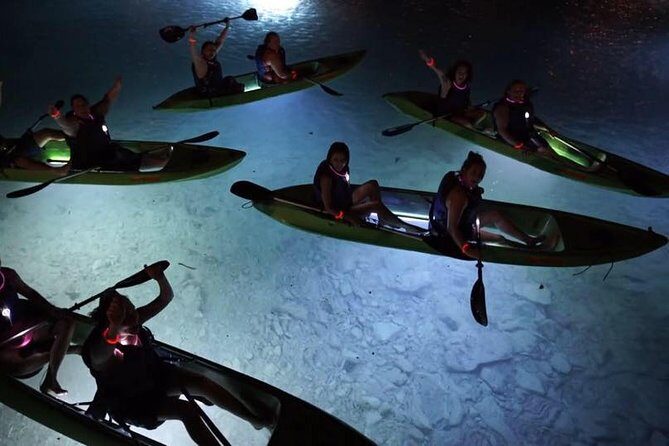 Night Kayak Tour St. John - Westin Resort - FAQ: Your Night Kayak Questions Answered