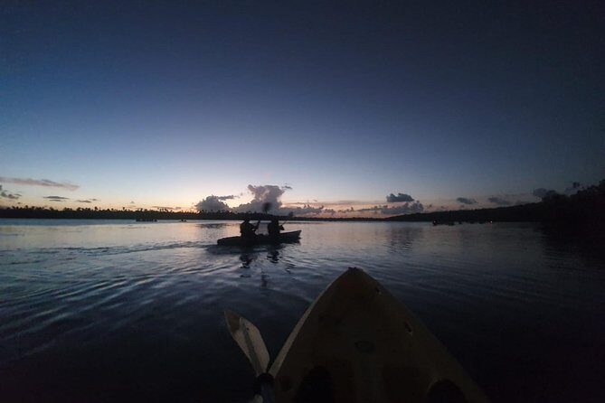 Night Kayaking Experience on Bioluminescent Lagoon in Fajardo - Key Points