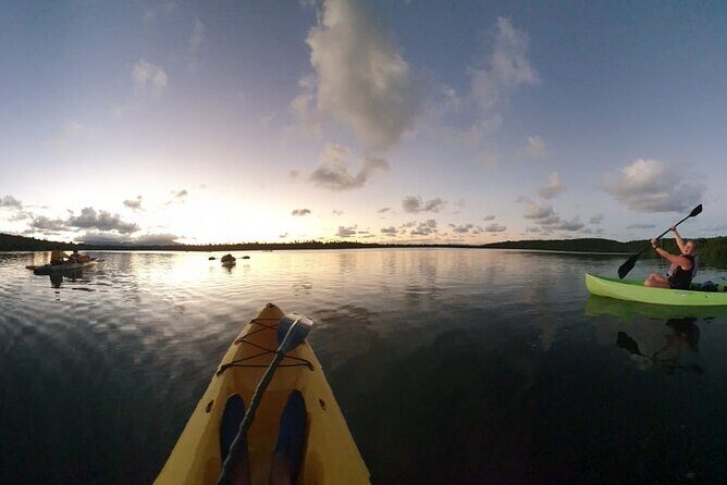 Night Kayaking Experience on Bioluminescent Lagoon in Fajardo - Who Will Love This Experience?