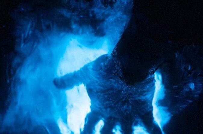 Night Mangrove Kayak Tour - FAQs