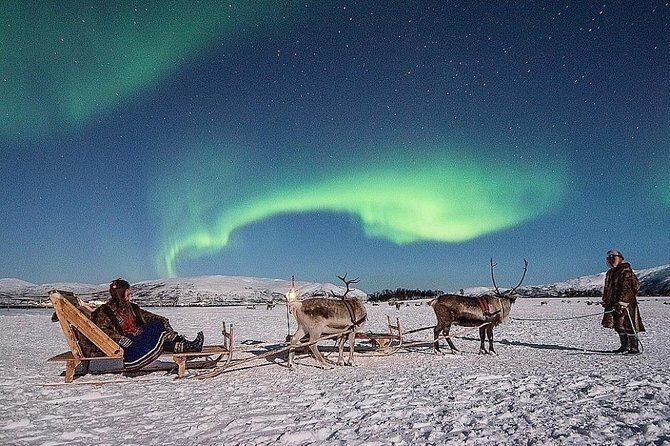 Night Reindeer Sledding with Camp Dinner and Chance of Northern Lights - Night Reindeer Sledding with Camp Dinner and Chance of Northern Lights — A Complete Guide
