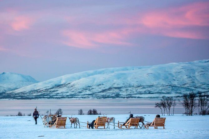 Night Reindeer Sledding with Camp Dinner and Chance of Northern Lights - Final Thoughts
