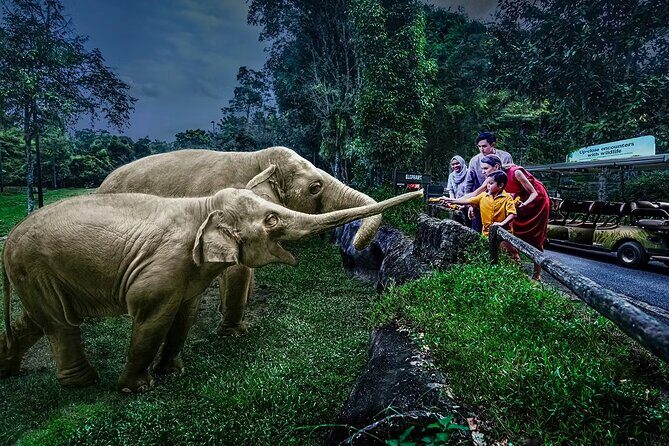 Night Safari Singapore Skip the Line Tickets with Tram Ride - Key Points