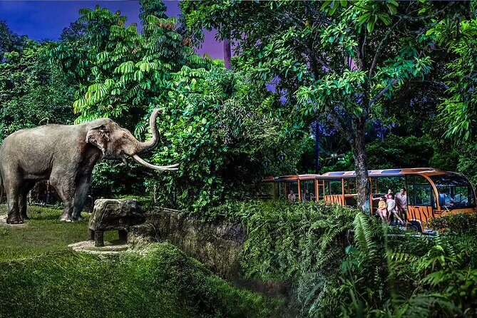 Night Safari Tickets with Tram Ride - Who Would Love This Tour?
