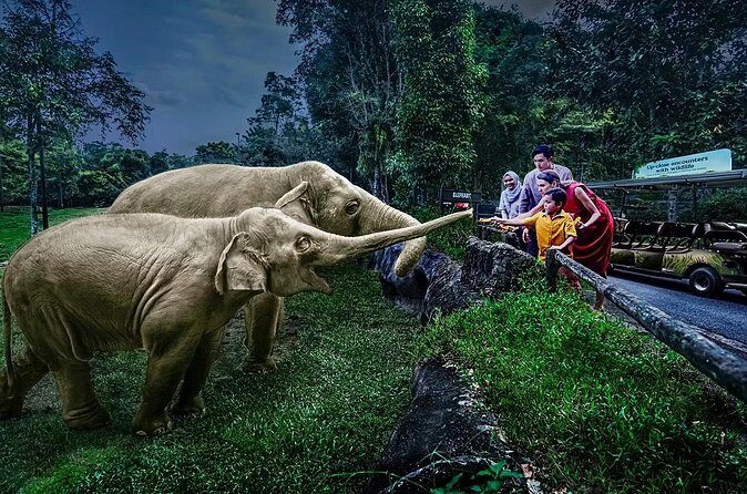 Night Safari Tickets with Tram Ride - Frequently Asked Questions