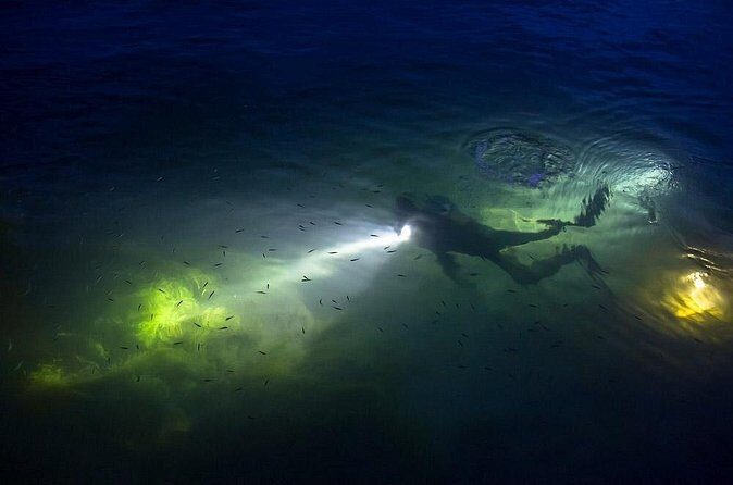 Night Shore Diving Mangel Halto Aruba for Certified Divers - Who Should Consider This Tour?