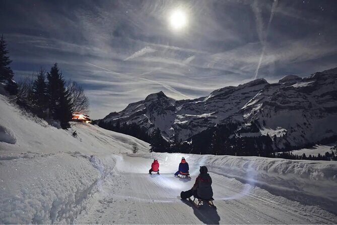 Night Sledding and Fondue Feast Interlaken - A Detailed Look at the Night Sledding and Fondue Experience in Interlaken