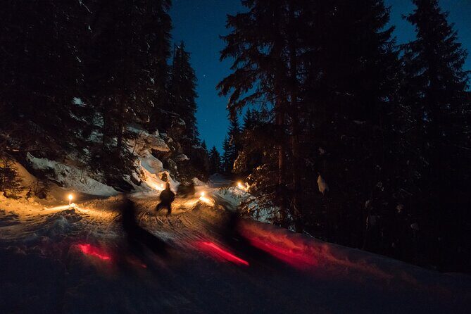 Night Sledding from Interlaken - A Deep Dive into the Night Sledding Experience