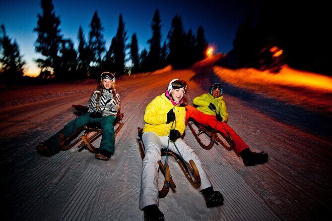 Night Sledding from Interlaken - Who Should Consider This Tour?