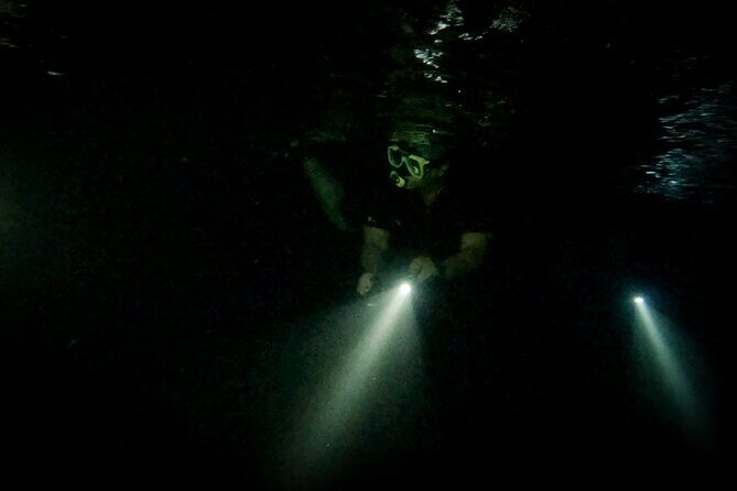 Night Snorkeling Adventure - Authenticity and Experience
