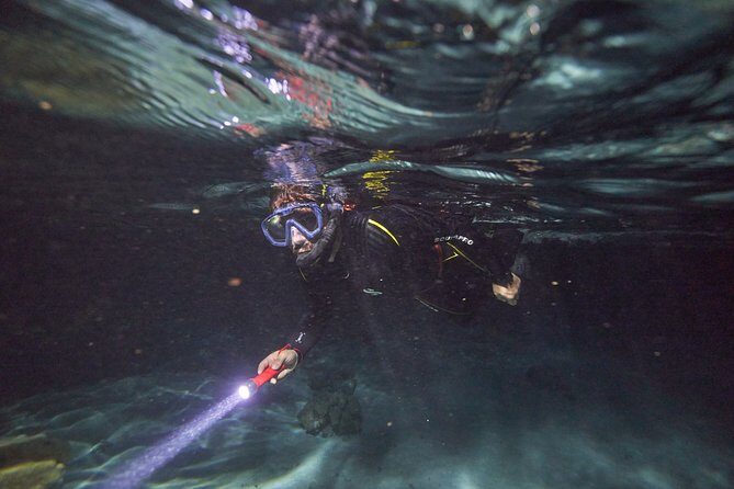 Night Snorkeling - Exploring Moorea’s Night Snorkeling: An In-Depth Look