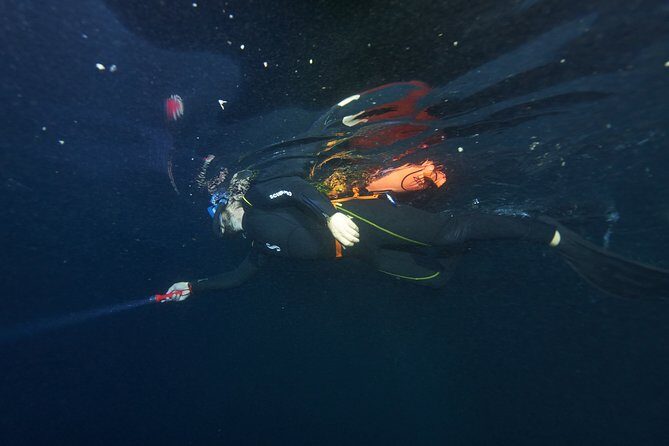 Night Snorkeling - FAQ