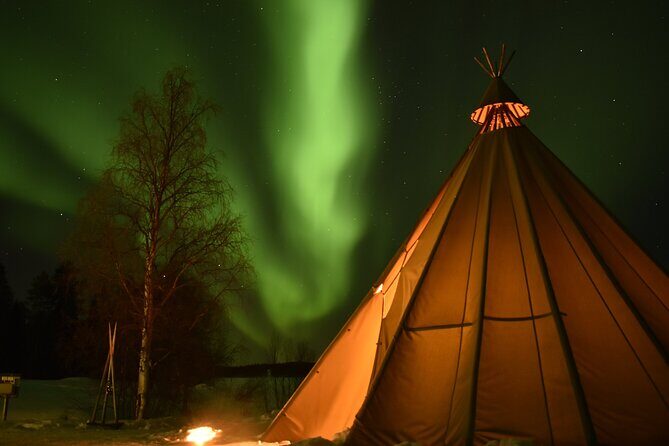 Night Snowmobile Safari, Rovaniemi - Exploring the Experience: What You Can Expect