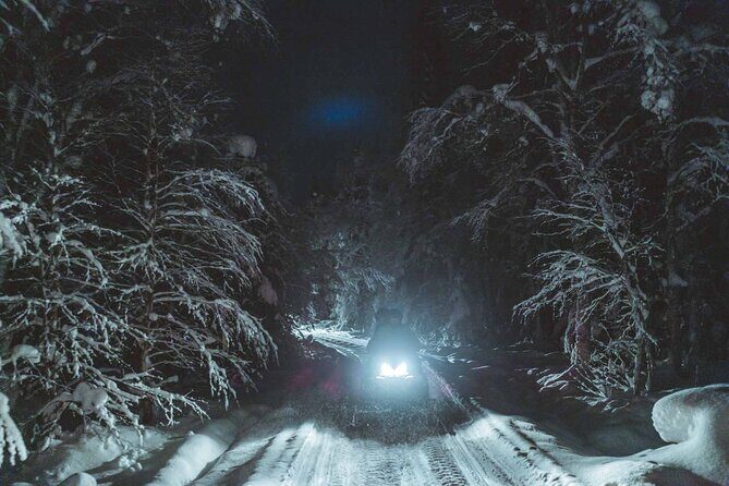 Night Snowmobile Safari, Rovaniemi - Who Should Consider This Tour?