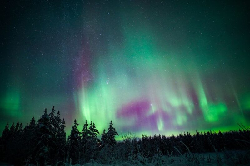 Night Snowshoeing Adventure under the Northern Lights - Key Points