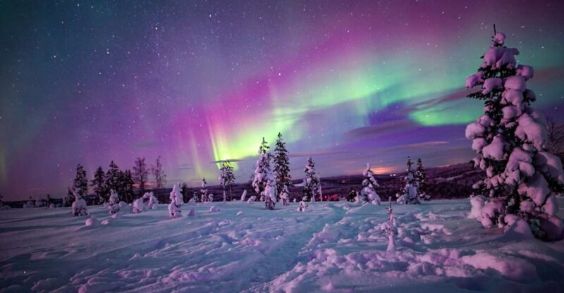 Night Snowshoeing Adventure under the Northern Lights - Final Thoughts