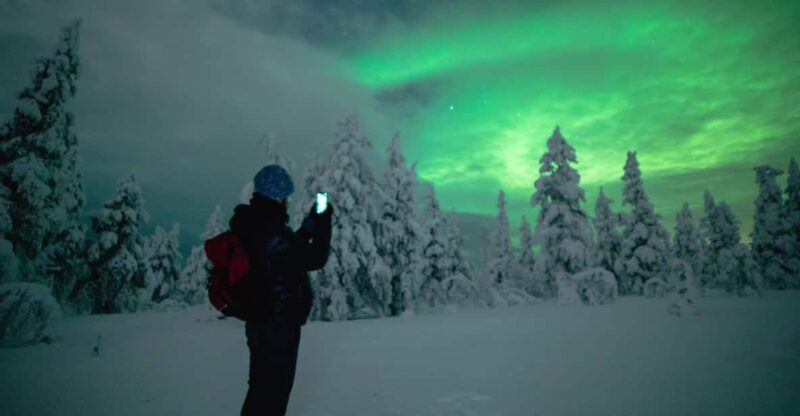 Night Snowshoeing Lapland Experience - Key Points
