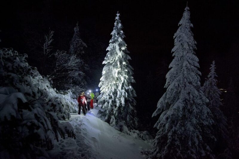 Night Snowshoeing Lapland Experience - In-Depth Review: What to Expect on Your Night Snowshoe Experience