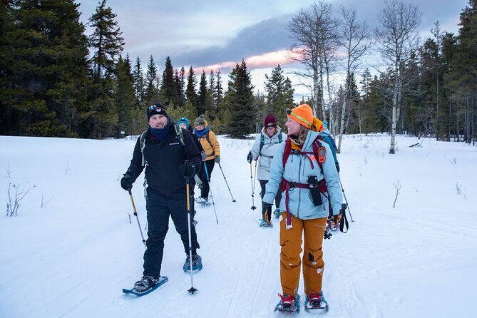 Night Snowshoeing Uniting Cultures with Local & Indigenous Guides - Key Points