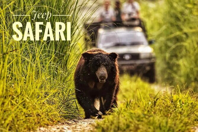 Night Stay in Chitwan National Park, 2 Nights 3 Days Package - Key Points