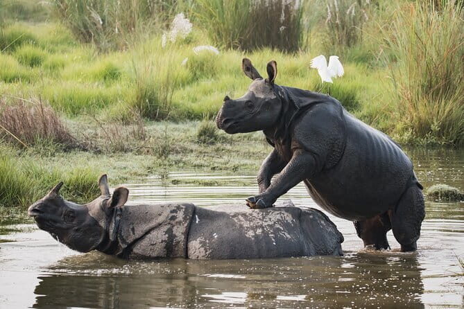 Night Stay in Chitwan National Park, 2 Nights 3 Days Package - Day 1: Arrival and Orientation