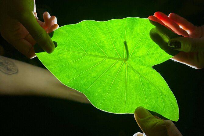 Night Time Charco Azul and Arenales Cave and Waterfall Adventure - FAQ