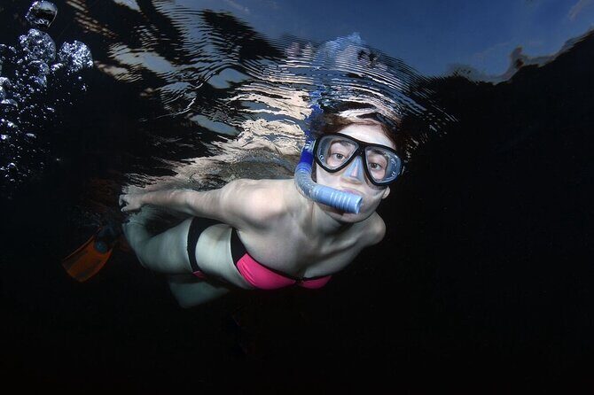 NIGHT TIME Guided Snorkel tour - The Allure of a Nighttime Snorkel in West Palm Beach