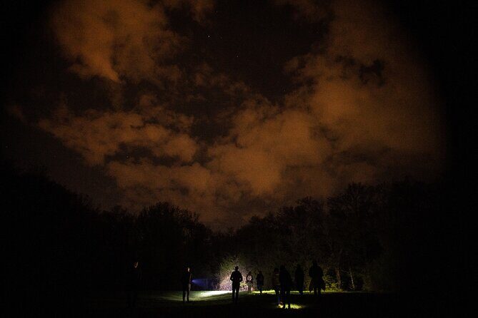 Night Tour in Hoia Baciu Forest - In-Depth Review of the Night Tour in Hoia Baciu Forest
