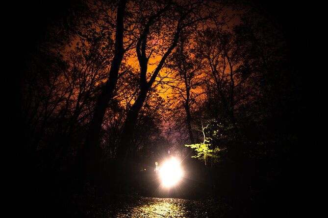 Night Tour in Hoia Baciu Forest - The Sum Up