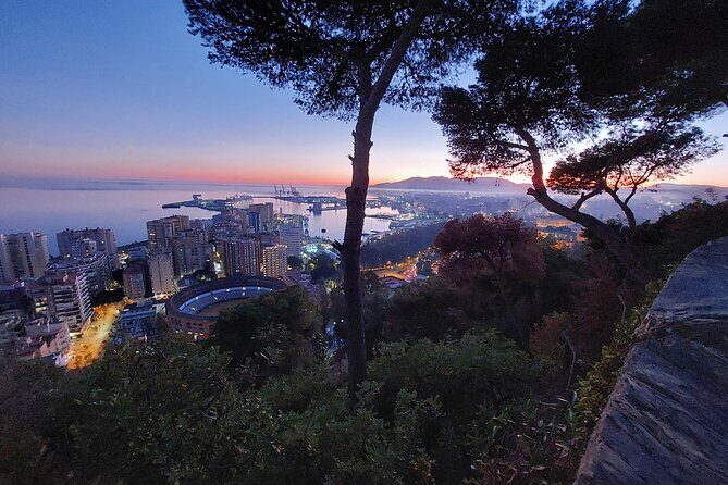 Night Tour in Malaga: Enjoy the Sunset and City Lights - Final Thoughts
