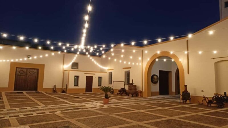 Night tour of historic winery and wine tasting with Sicilian cuisine - Key Points