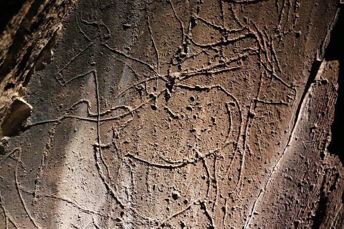 Night Visit to the Engravings of Foz Côa in 4x4 between DOURO and CÔA - Frequently Asked Questions