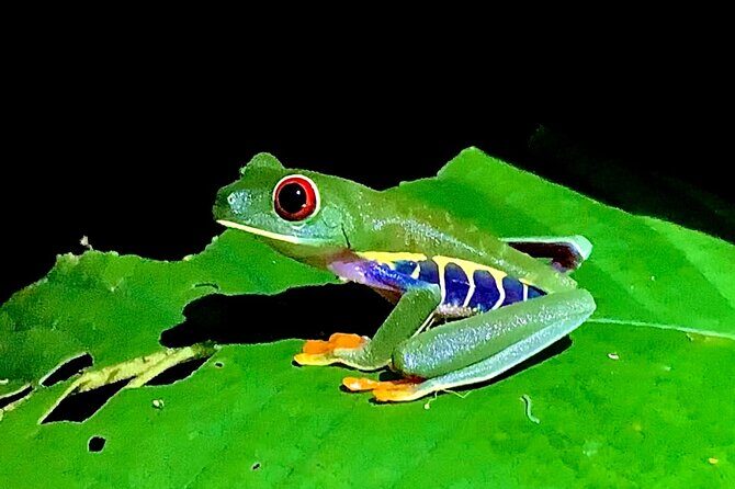 Night walk - Key Points