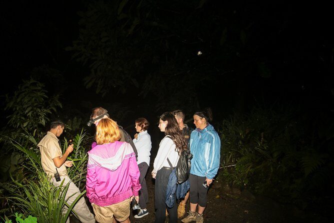 Night Walk Experience at Natura Eco Park, (frogs snakes mammals insects birds) - Key Points