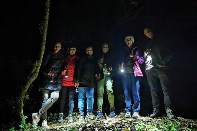 Night Walk in the Monteverde Cloud Forest. - A Deep Dive into the Monteverde Night Walk Experience