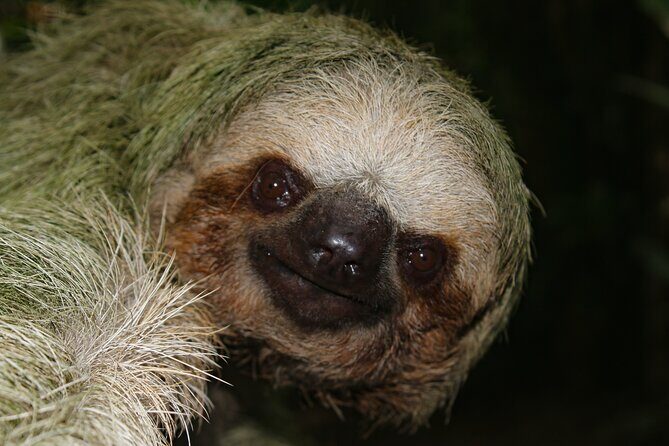 Night Walk La Fortuna - Key Points