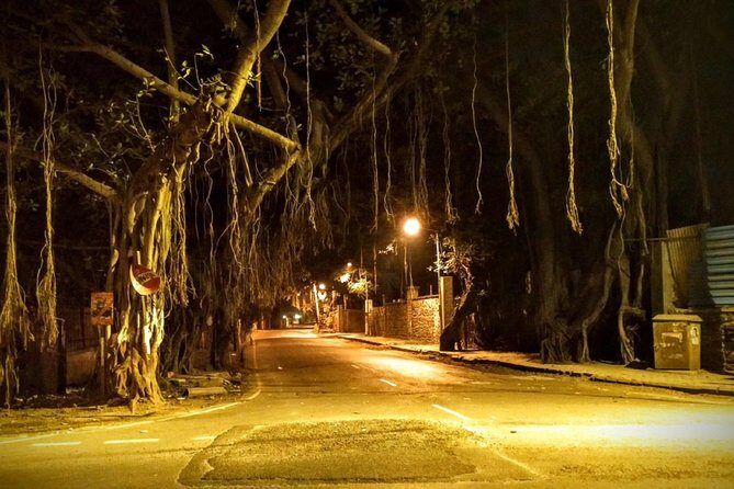 Night Walk Tour Pune - A Closer Look at the Pune Night Walk Tour