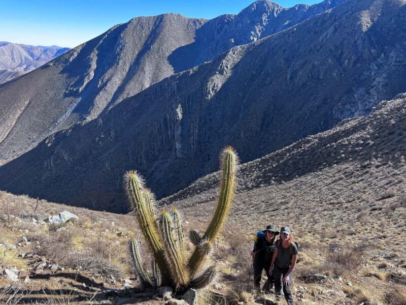 Night walk with astro photography session - Why This Tour Offers Great Value