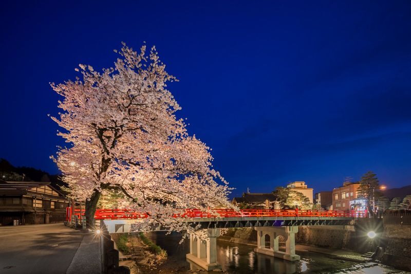 Night Walking Tour in Takayama - Takayama Jinya after dark