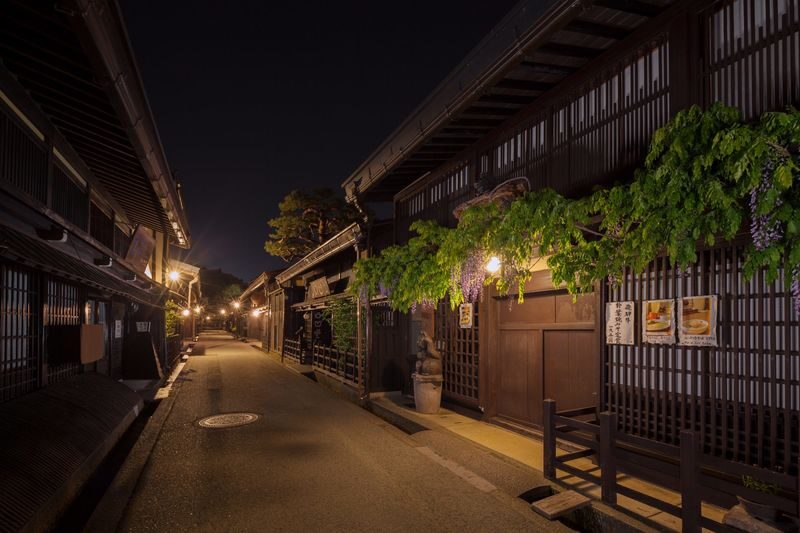 Night Walking Tour in Takayama - The guide’s role, and the dining tip