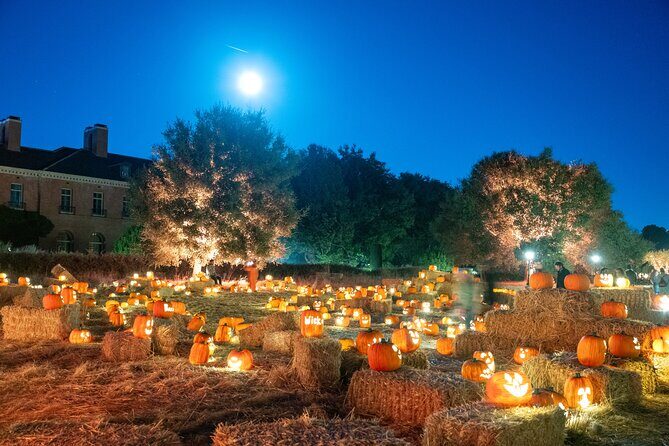 Nightfall - What to Expect at Nightfall