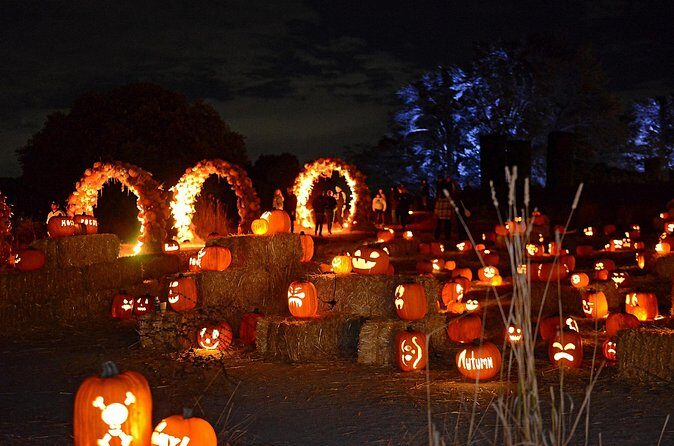 Nightfall - FAQ: Your Practical Questions Answered