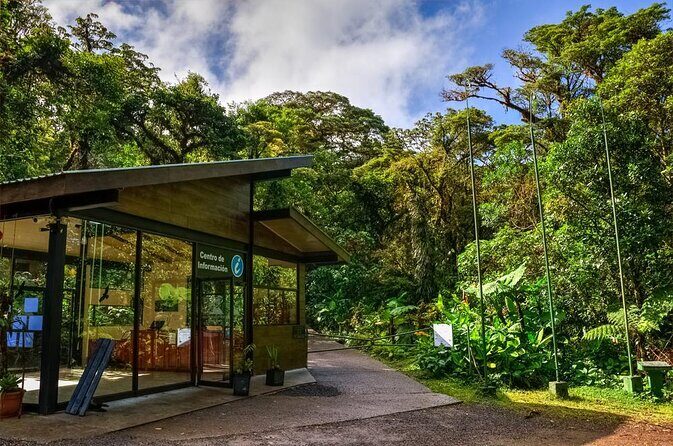 Nightwalk Monteverde by Pablos natural tour - Key Points