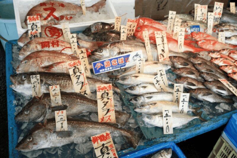 Niigata Private Custom Tour with Local Guide - Key Points