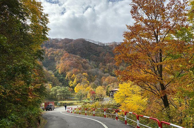 Niigata Private Customizable Full Day Tour - Authentic Experiences and Authenticity Tips