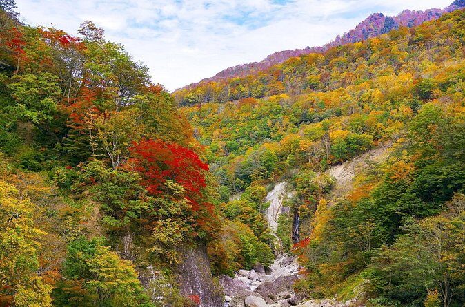 Niigata Private Customizable Full Day Tour - Summary: Is This Tour Right for You?