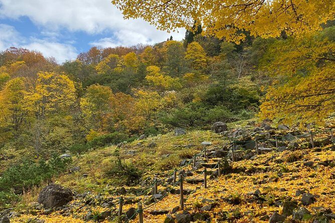 Niigata Private Customizable Half Day Tour - Key Points