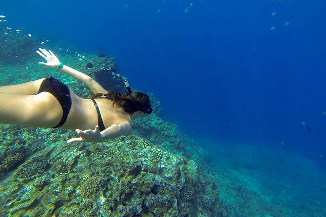 Ni'ihau and Na Pali Coast Snorkel Boat Tour - Who Would Love This Tour?